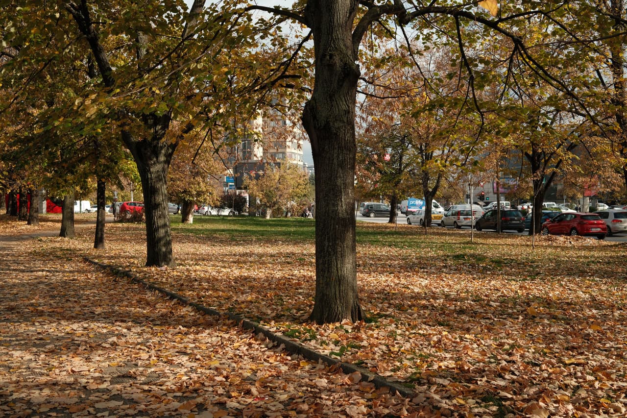 newsletter image
